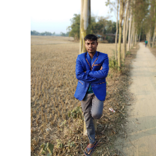 Bina Barmon-Freelancer in Dhaka,Bangladesh