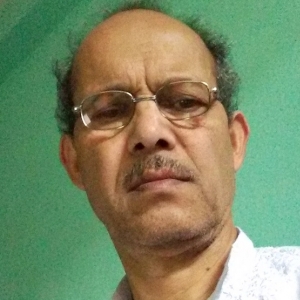 Anwar Raza-Freelancer in Ludhiana,India