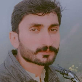 Malik Mujahid-Freelancer in Multan,Pakistan