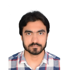 Syed Meesam Raza Naqvi-Freelancer in Islamabad,Pakistan