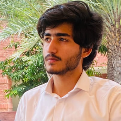 Umar Aziz-Freelancer in Lahore,Pakistan