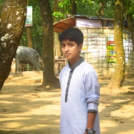 Fahim Sarker-Freelancer in Comilla,Bangladesh