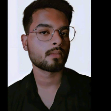 Nikhil Raj-Freelancer in Katgala,India