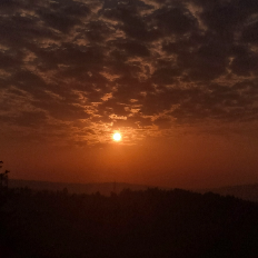 Apple White-Freelancer in Kigali,Rwanda