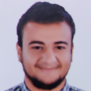 Mohammed Saeed-Freelancer in Cairo,Egypt