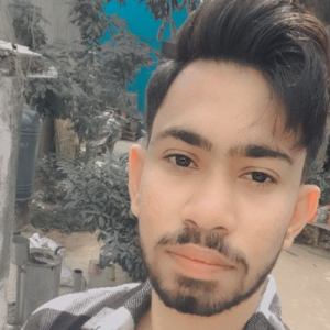 Amir Khokhar-Freelancer in Delhi,India