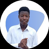 Olanrewaju Olajide-Freelancer in Irepodun/Ifelodun,Nigeria
