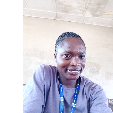 Rebecca Shokunbi-Freelancer in Ilaro,Nigeria