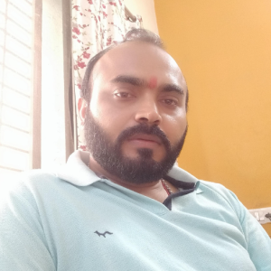 Birendra Pratap Singh-Freelancer in Indore,India