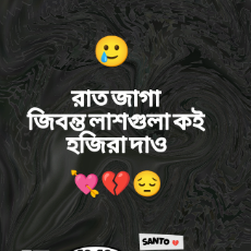 Md Santo-Freelancer in Dhaka,Bangladesh