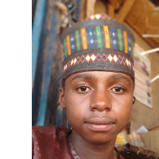Ali Salisu-Freelancer in Potiskum,Nigeria