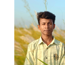 Rahim Hujaifa-Freelancer in Ullapara,Bangladesh