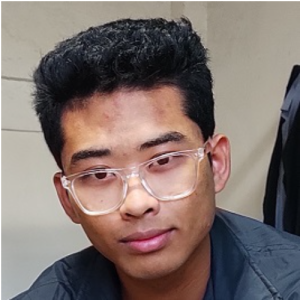 Ronaldo Laishram-Freelancer in Delhi,India