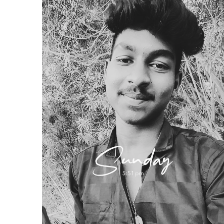 Ammu Sathish-Freelancer in Chennai,India