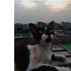 Ataut Rahman Abir-Freelancer in Dhaka,Bangladesh