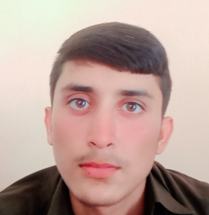 Abdullah Ramzan-Freelancer in Shorkot,Pakistan