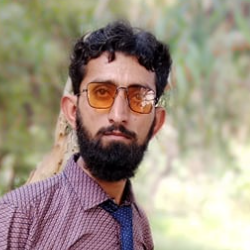 Abdul Majeed-Freelancer in Karachi,Pakistan