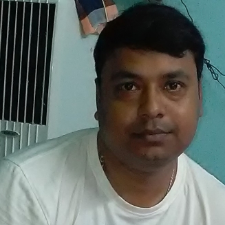 Biswajit Dey-Freelancer in Andal,India