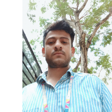 Babloo Kumar-Freelancer in Saran Division,India