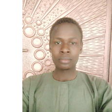 Abba Mohammeda-Freelancer in Maiduguri,Nigeria