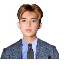 Lester Calingao-Freelancer in Puerto Princesa City,Philippines