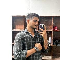 Ansh Behl-Freelancer in Bahadurgarh,India