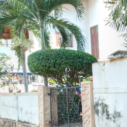 Shammi Ariyarathna-Freelancer in Colombo,Sri Lanka