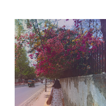 Rishika Chauhan-Freelancer in Delhi,India