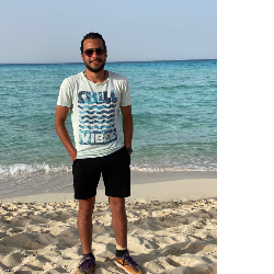 Seif Hant-Freelancer in Alexandria,Egypt