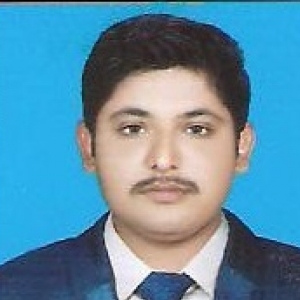 R.Naveed Hussain-Freelancer in Sukkur,Pakistan