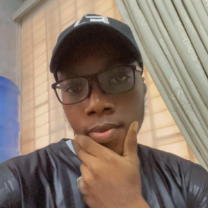 Al-ameen Ibn Dawud-Freelancer in Lagos,Nigeria