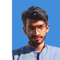 Sibtain Ali-Freelancer in Dera Ismail Khan,Pakistan