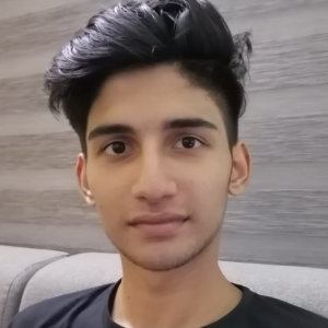 Bilal Muhammed-Freelancer in Mundakayam,India