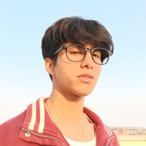 Anshul Negi-Freelancer in Delhi,India