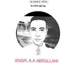 Engr A A Abdullahi-Freelancer in Abuja,Nigeria