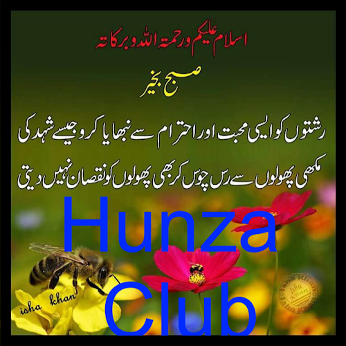 Hunza Club-Freelancer in Hunza,Pakistan