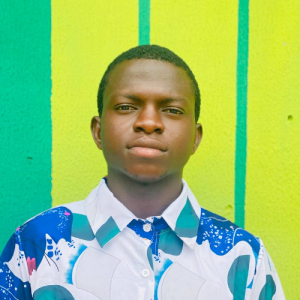 Hamzy Bella-Freelancer in Abuja,Nigeria