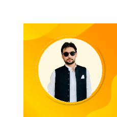 Syed Zohaib Ali-Freelancer in Layyah,Pakistan