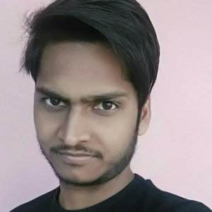 Vivek Prakash-Freelancer in Delhi NCR,India
