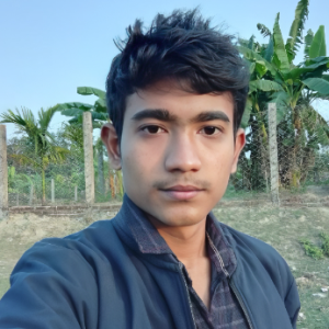 Robiul Alom-Freelancer in Coxbrazer,Bangladesh