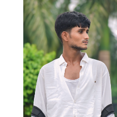 Said Anuwar-Freelancer in Kolkata,India