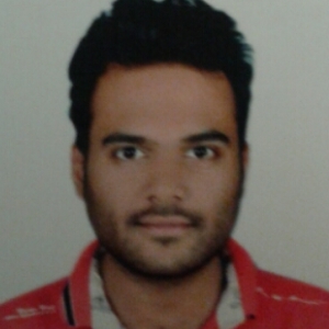 Bilal Qureshi-Freelancer in Indore,India