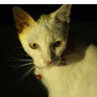 Diether Sudlon-Freelancer in Marikina City,Philippines