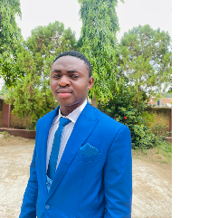 Ajayi Marvelous-Freelancer in Rogersville,USA