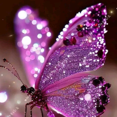 Anaya Khan-Freelancer in Multan,Pakistan