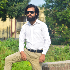 Aditya Kumar-Freelancer in Kushi Nagar,India