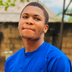 Ifeanyichukwu Harrison-Freelancer in Imo state,Nigeria