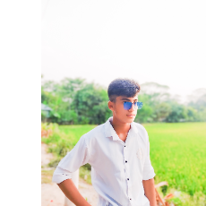 Md Abul Kalam Ajad-Freelancer in Khalna,Bangladesh