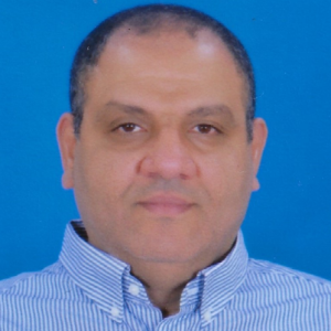 Bassem Ibrahim-Freelancer in Kuwait City,Kuwait