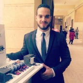 Awad Elhelily-Freelancer in Egypt,Egypt